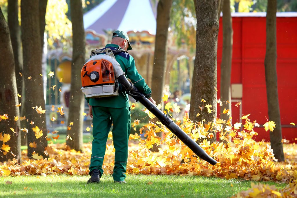 Landscaper in the park removes autumn leaves with a blower