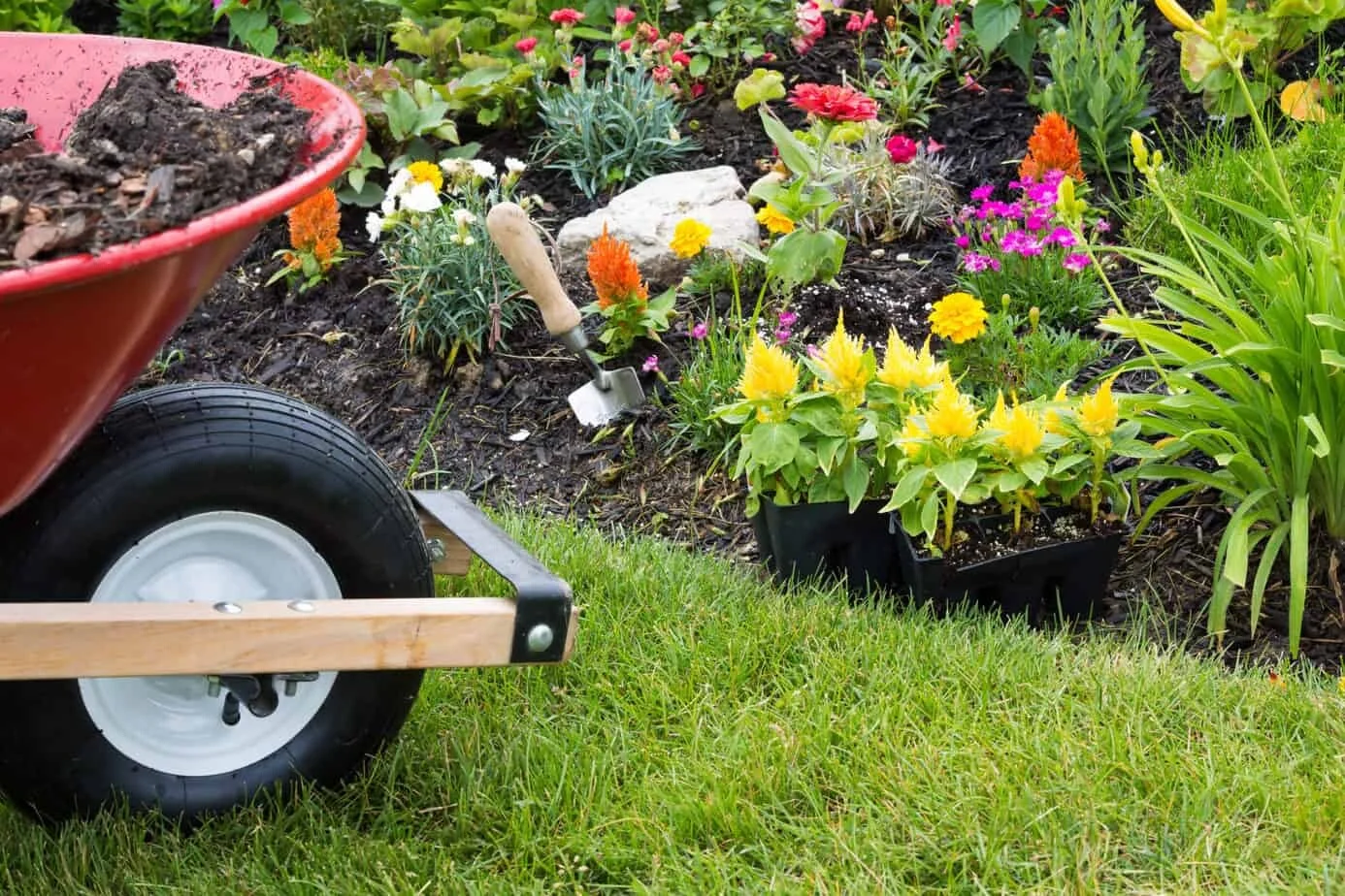 Wheelbarrow alongside a newly planted flowerbed