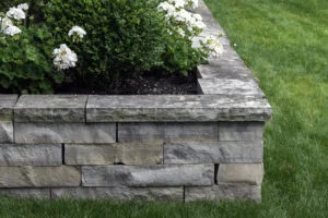 A natural stone retaining wall with matching coping creates a raised planter bed which has been planted with white roses. It is the perfect height to sit on, expanding outdoor seating in the garden.
