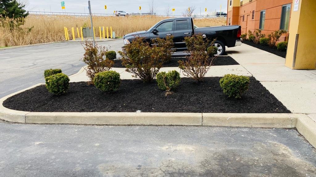 Two Mulch Beds with Bushes Near Front Entrance to Hotel Landscaping Buffalo NY