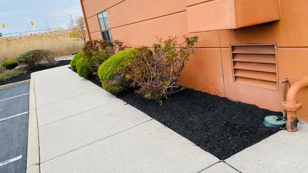 Hotel Parking Lot Mulch Bed with Green Bushes Landscaping Buffalo NY