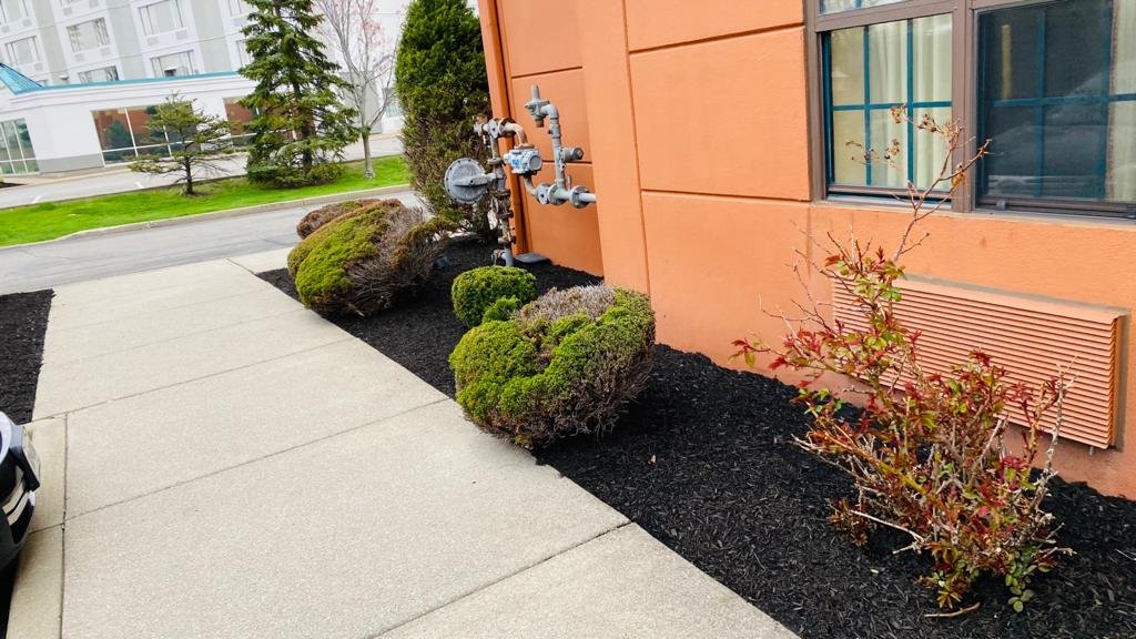 Hotel Side Landscaping with Trimmed Bushes Buffalo NY