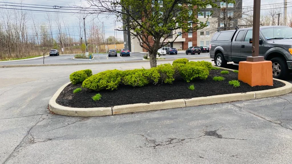 Large Commercial Mulch Bed Amherst NY