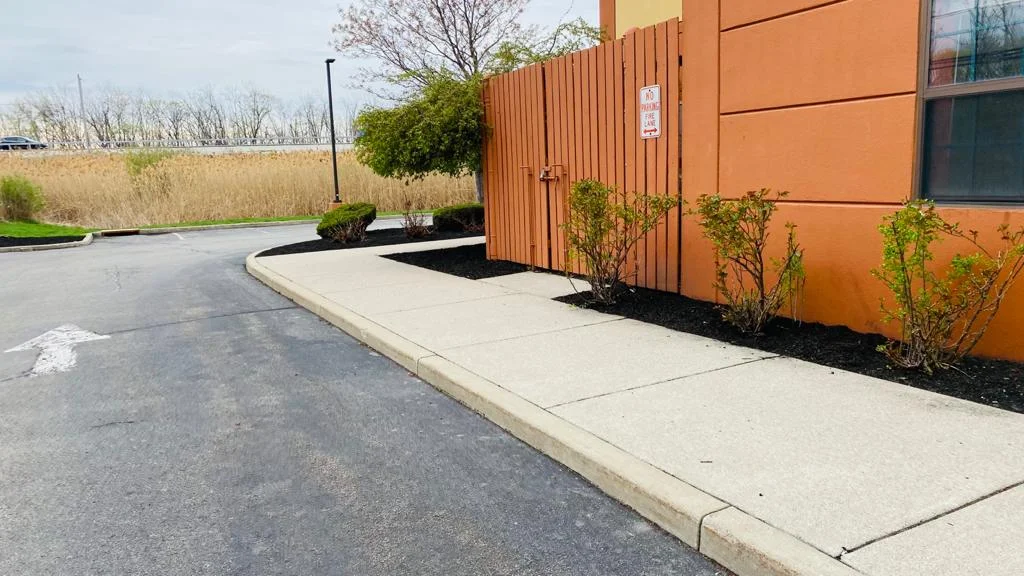 Small Trees in Mulch Bed Hotel Parking Lot Landscaping Buffalo NY