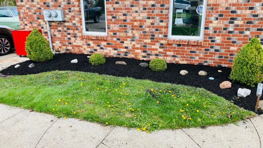 Black Mulch Bed with Large Stones and Shrubs in Front of Brick House Landscaping Buffalo NY